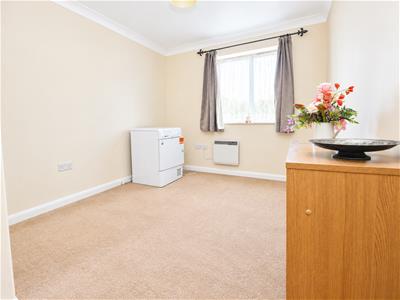 Picture 7